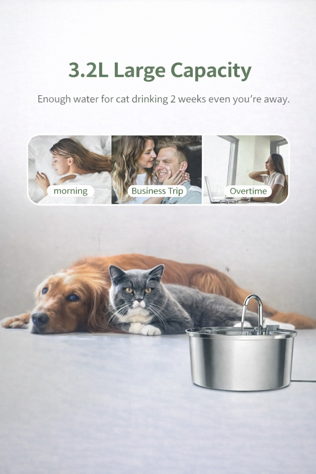 Stainless Steel Cat Water Fountain